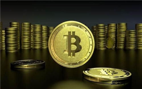 A robust Bitcoin mining setup showcasing efficient hardware maintenance in an Indian hosting facility